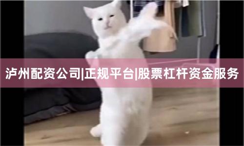 泸州配资公司|正规平台|股票杠杆资金服务